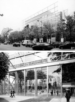 �J���e�B�G���c�r��